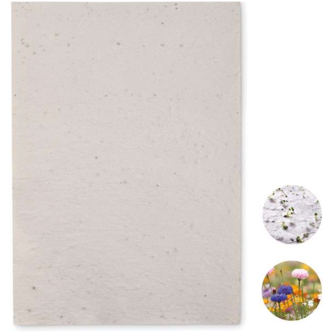 MO-MO6914-06 - Image 1