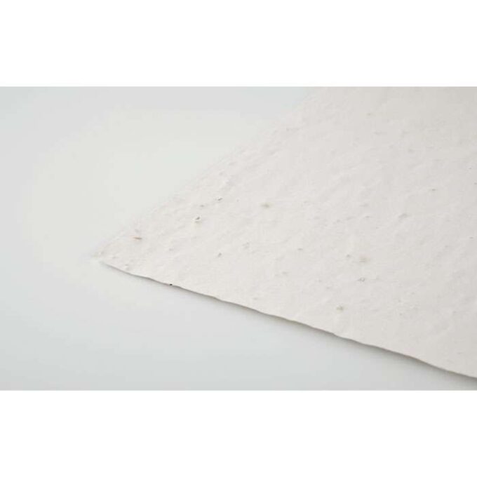 MO-MO6914-06 - Image 3