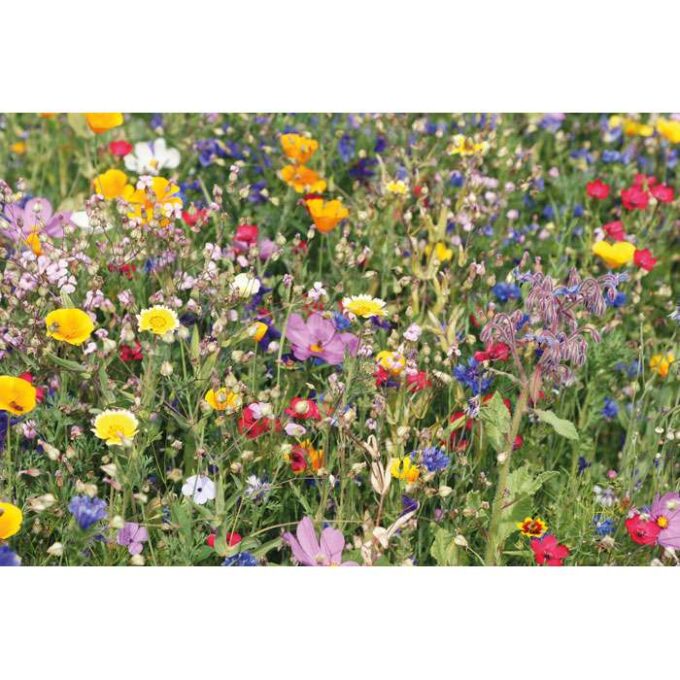 MO-MO6502-13 - Image 3