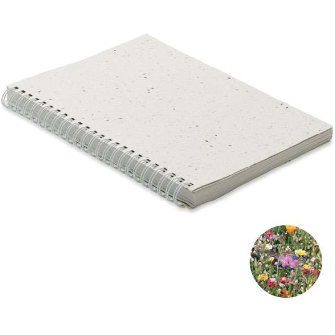 MO-MO2083-06 - Image 1