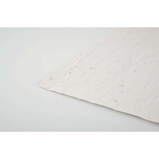 MO-MO6915-06 - Image 5