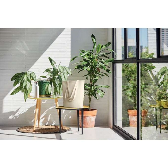 MO-MO6159-13 - Image 4