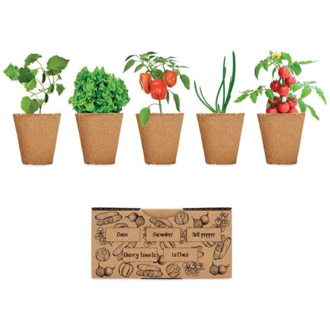 MO-MO6499-13 - Image 1