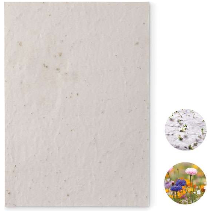 MO-MO6915-06 - Image 1