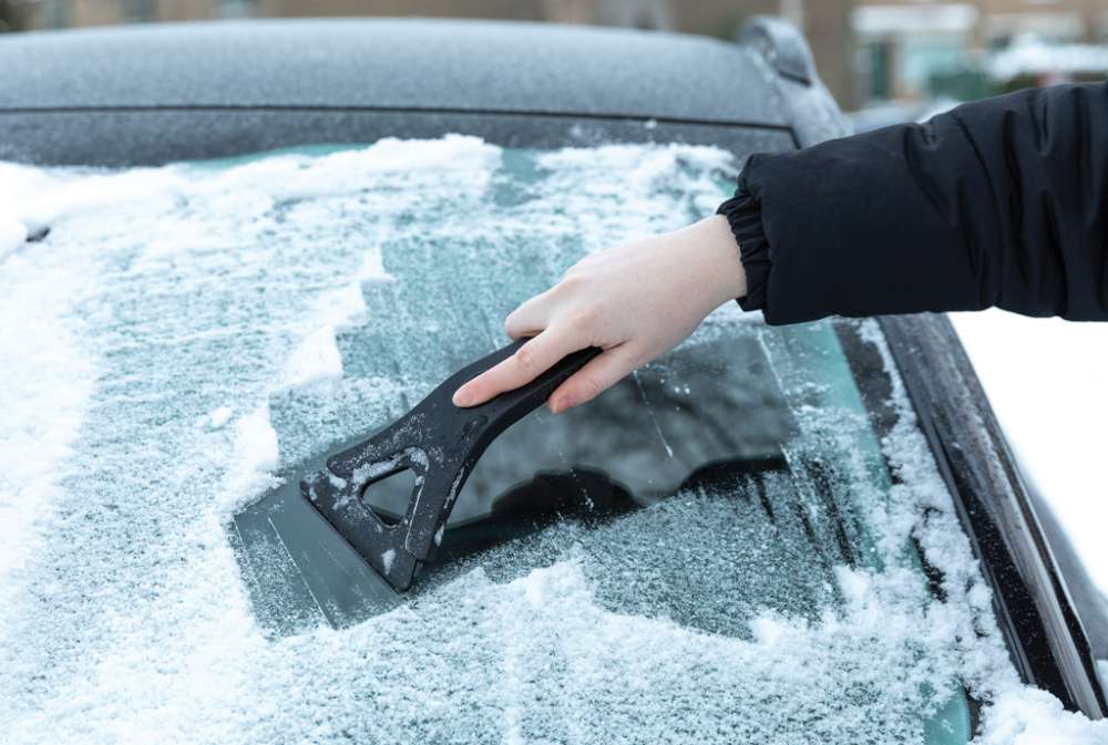 XD-P239.001 - Image 6