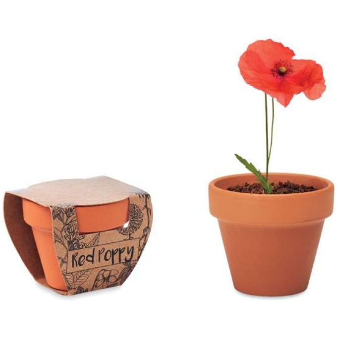 MO-MO6148-40 - Image 1