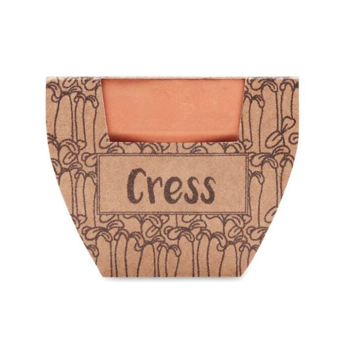 MO-MO2219-40 - Image 2