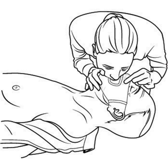 XD-P265.241 - Image 1