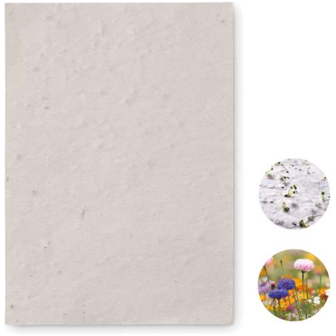 MO-MO6916-06 - Image 1