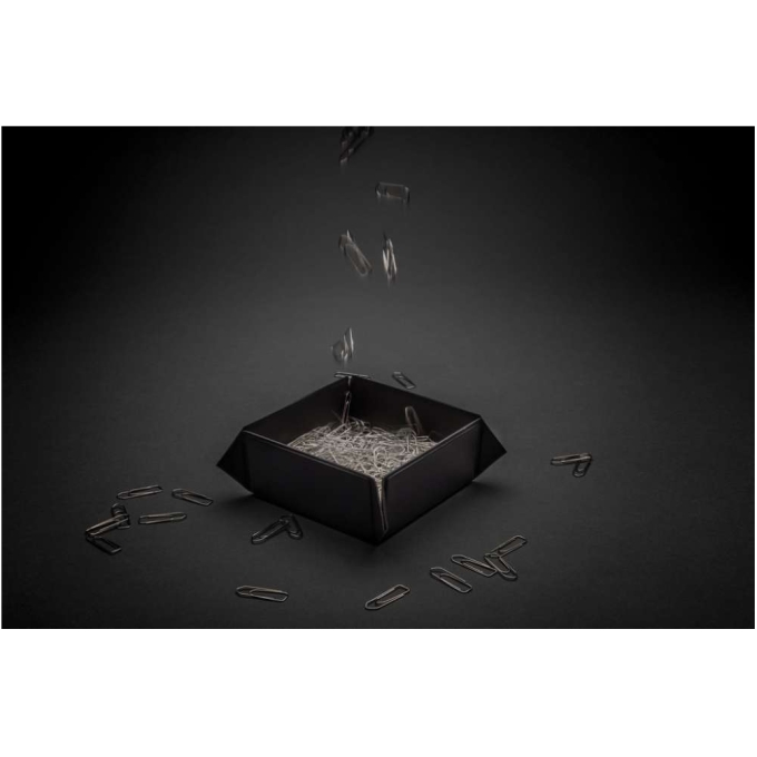 XD-P300.261 - Image 5