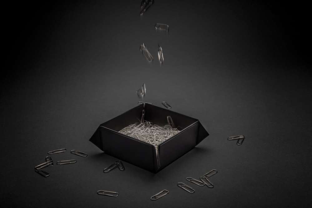 XD-P300.261 - Image 5