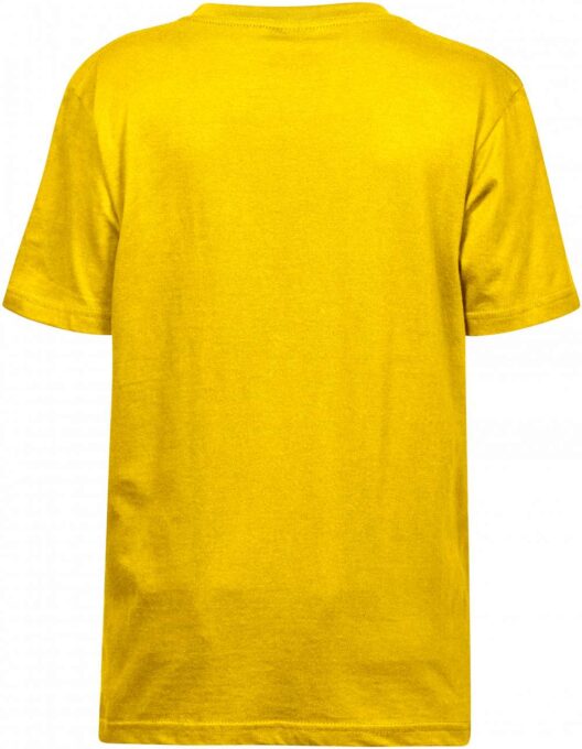 TJ-TJ1100B:BR.YELLOW:4-6 - Image 2