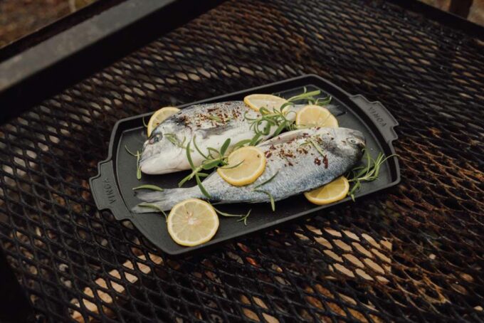 XD-V261221 - Image 7