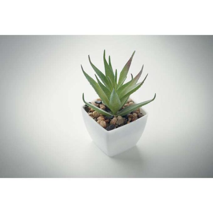 MO-MO2852-06 - Image 4