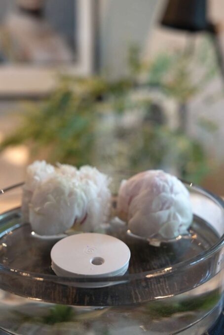 XD-P457.0219 - Image 7