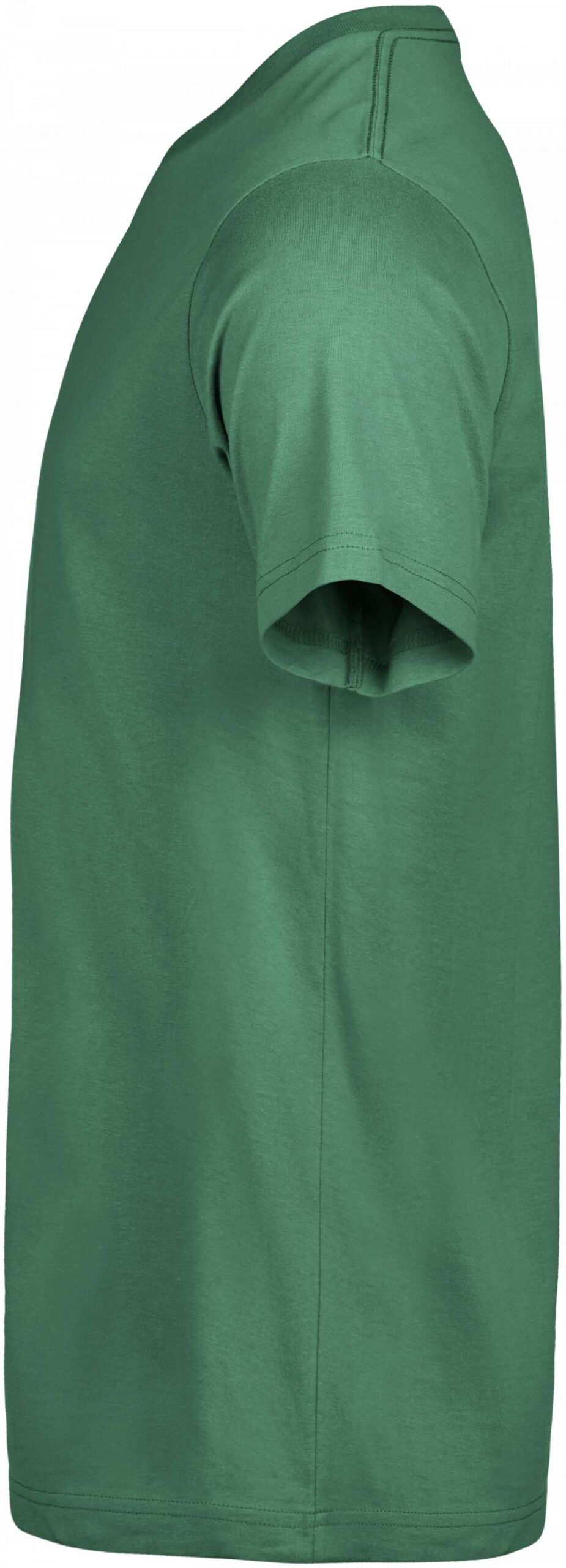 TJ-TJ1150:CACTUS:XS - Image 3