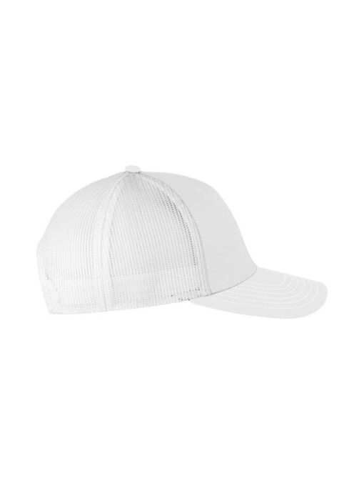 CB-37C18CM5-100W-0 - Image 3
