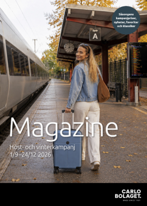 Skärmbild 2026-09-15 104406